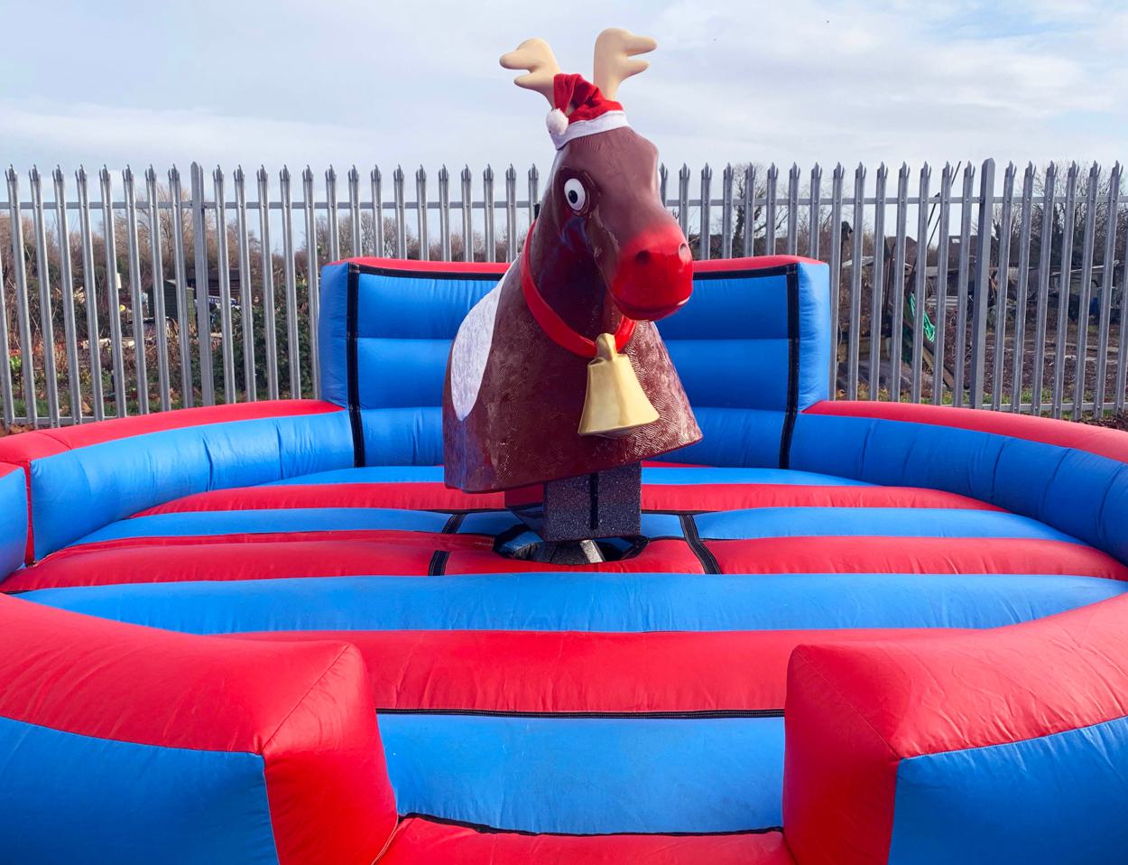 Rodeo Reindeer Hire for Christmas Parties